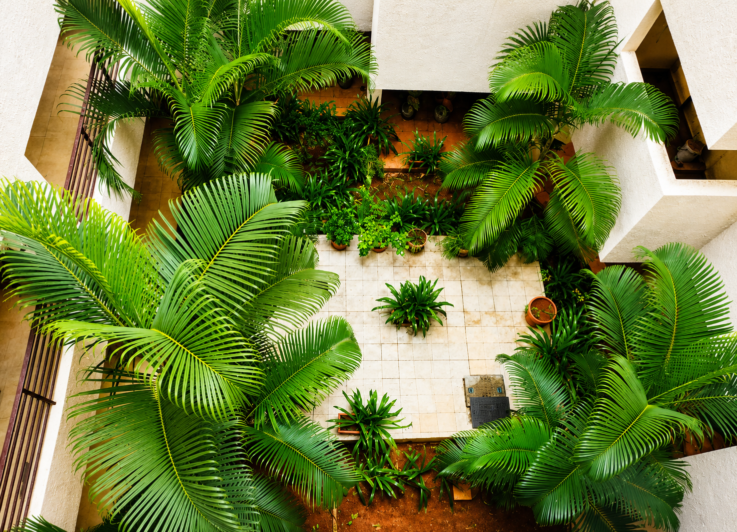 Garden Area